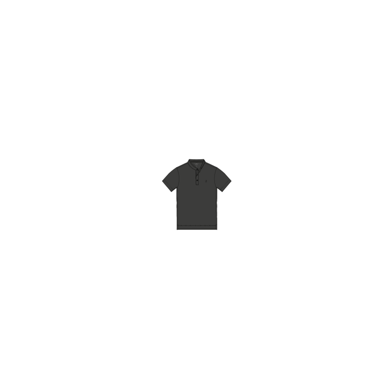p-sbtn-stan mc